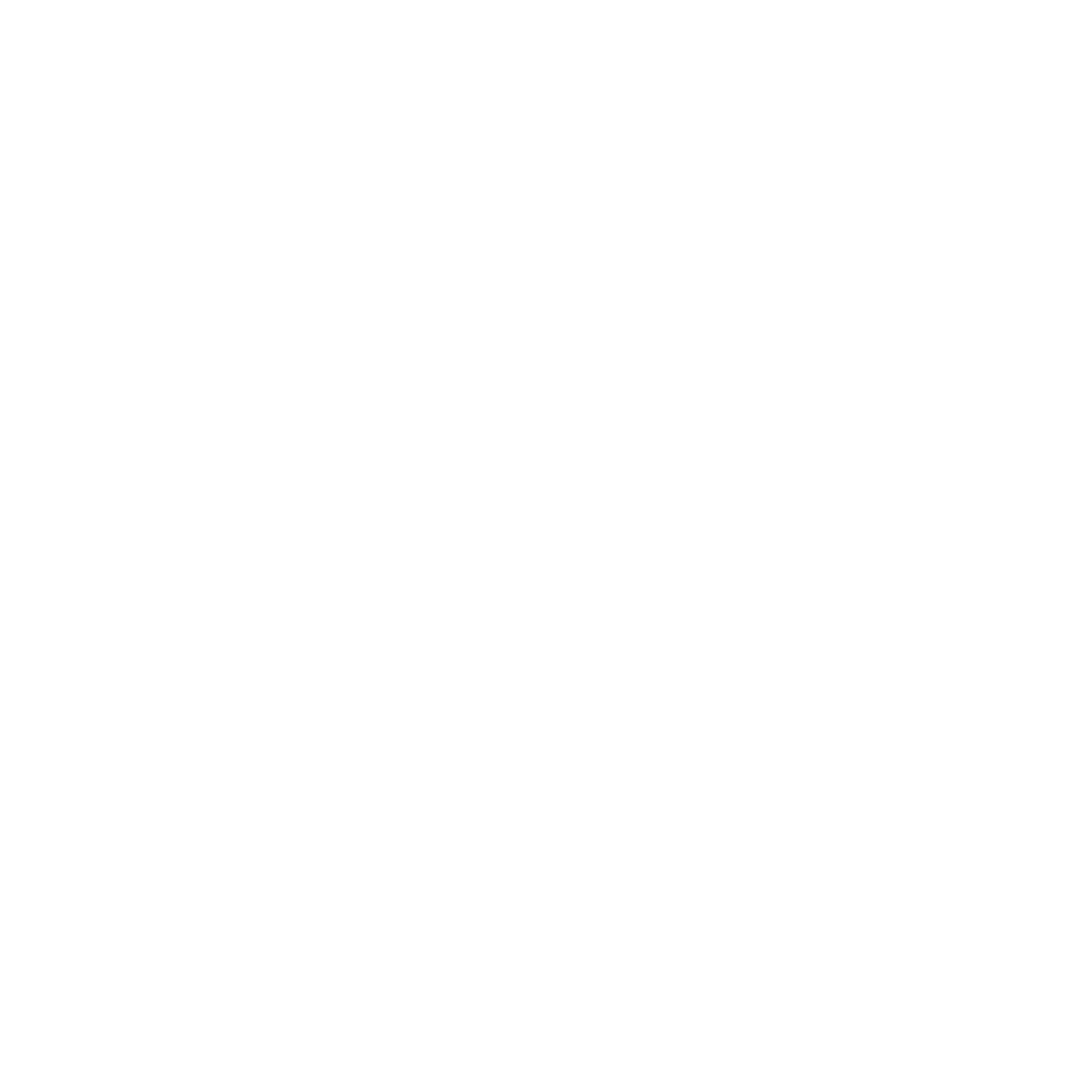 Logo Seppic en blanc