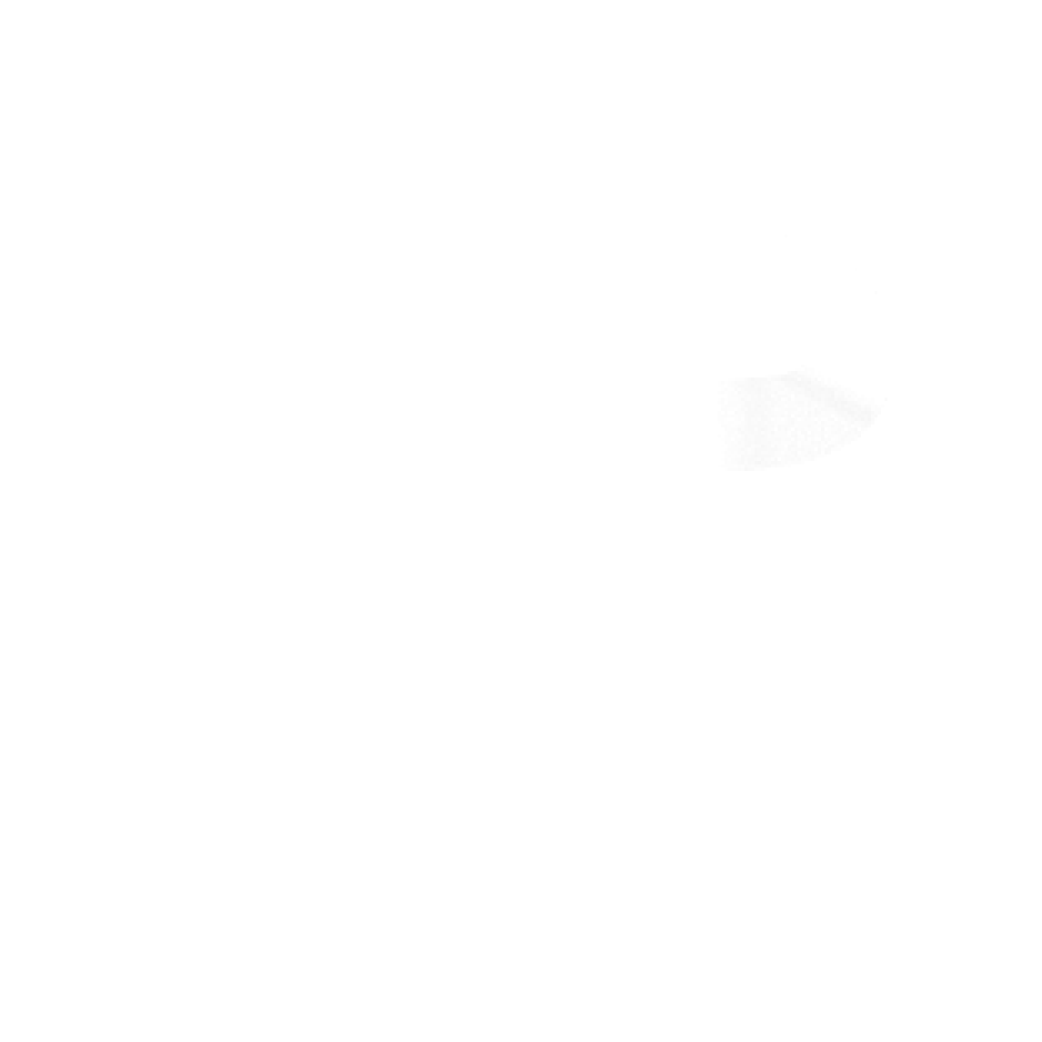 Logo Totalenergie en blanc